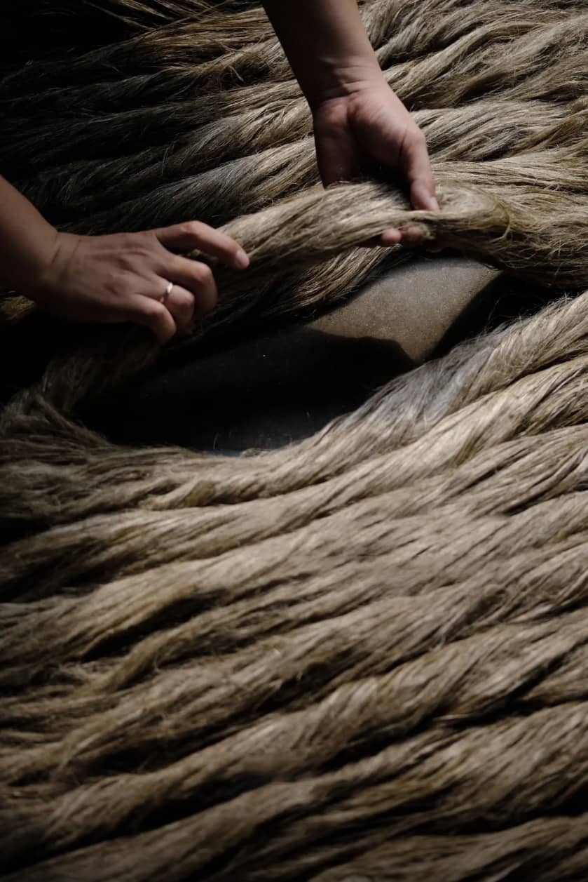 Hand holding raw flax fiber bundle closeup inspection